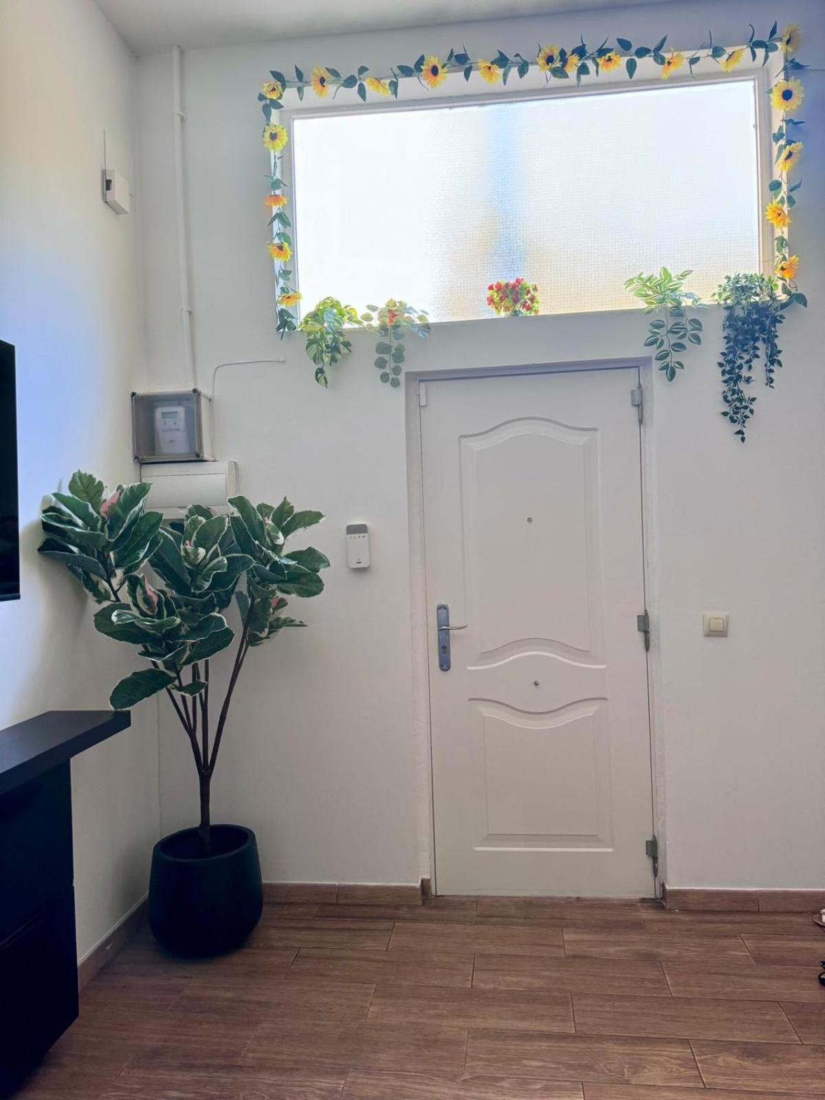 Pamis Apartament Sants, Barcelona Zewnętrze zdjęcie